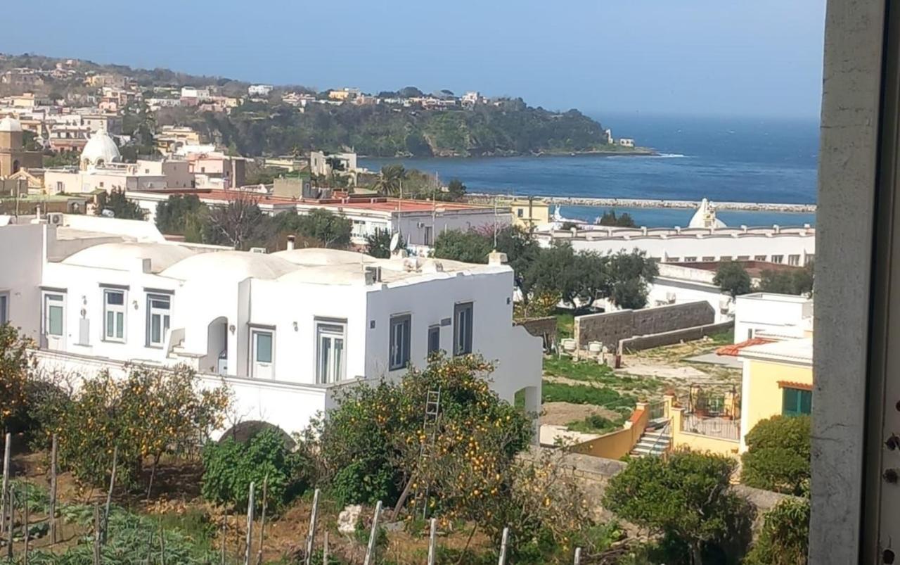 La Casa dei Sogni Villa Procida Esterno foto