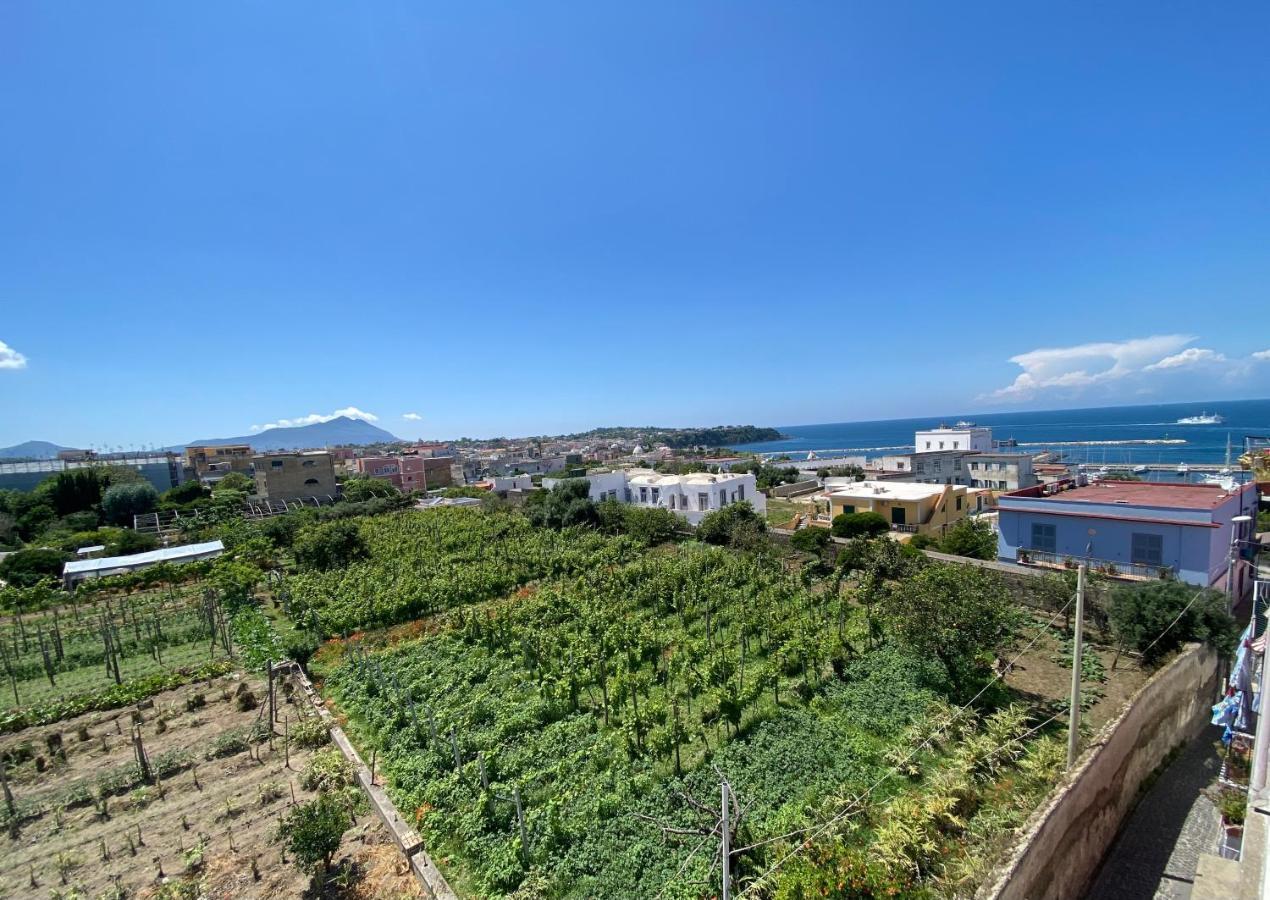 La Casa dei Sogni Villa Procida Esterno foto