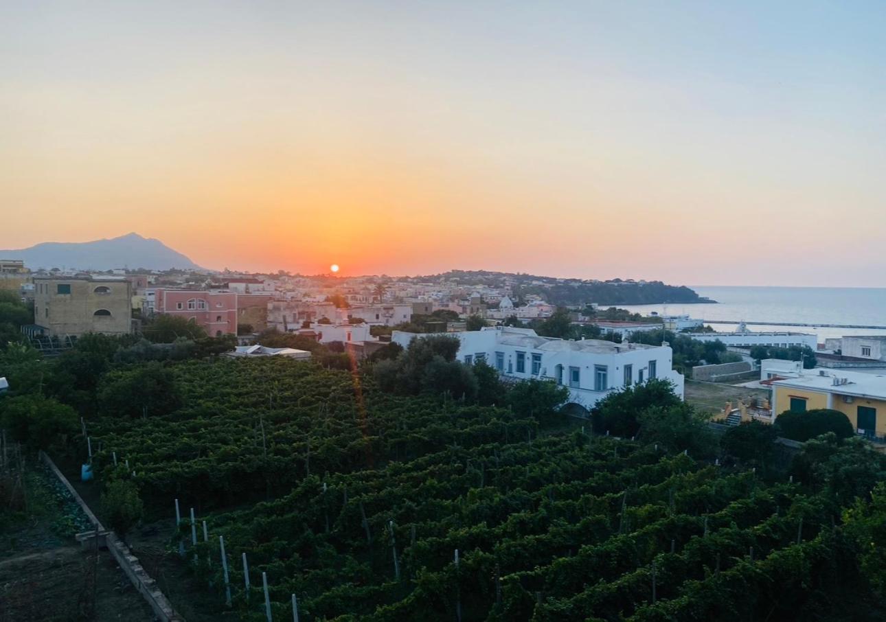 La Casa dei Sogni Villa Procida Esterno foto