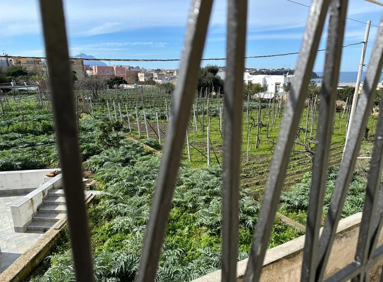 La Casa dei Sogni Villa Procida Esterno foto