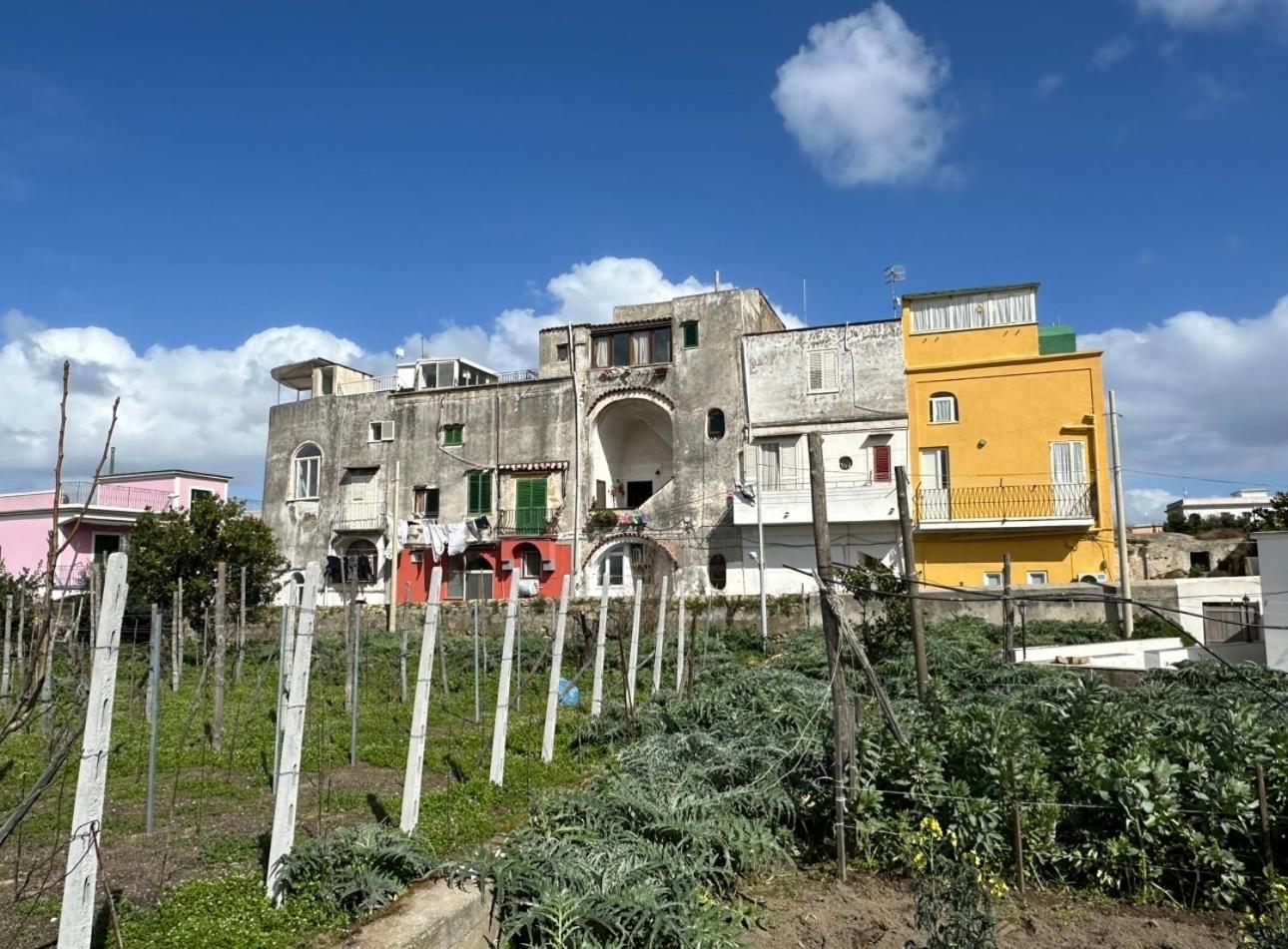 La Casa dei Sogni Villa Procida Esterno foto