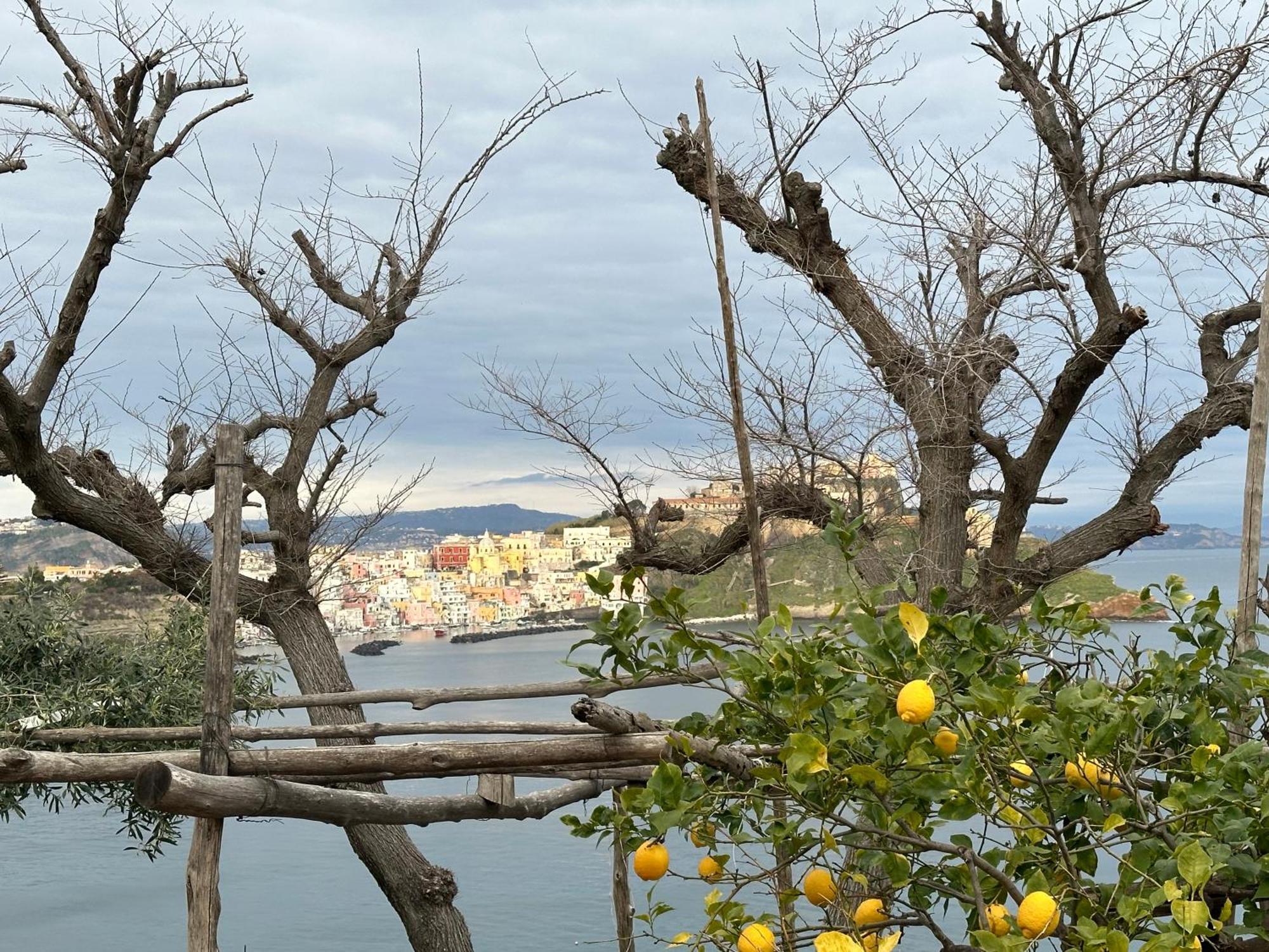 La Casa dei Sogni Villa Procida Esterno foto